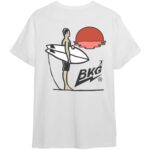 THE SURFER